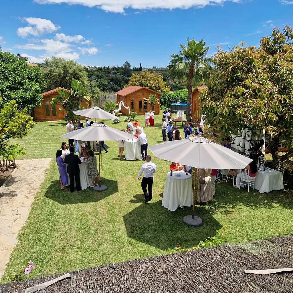 A wedding table laid beneath the trees, strung with lights