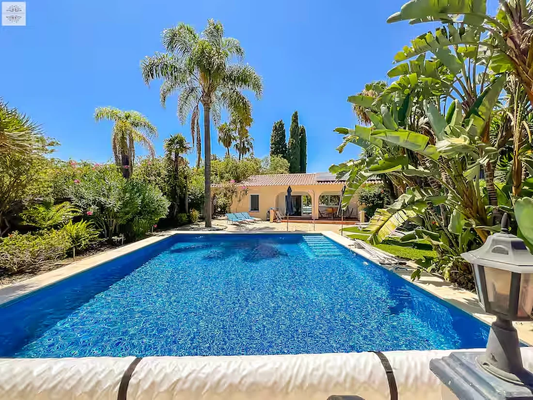 The 7 by 9 metre pool at Villa Primavera surrounded by loungers and garden